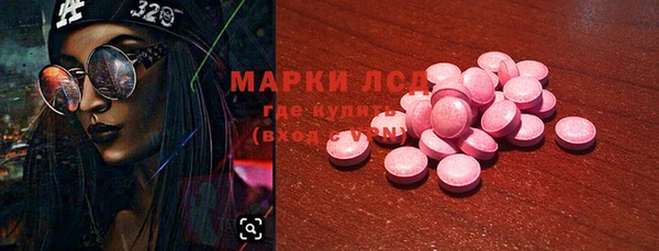 apvp Снежинск